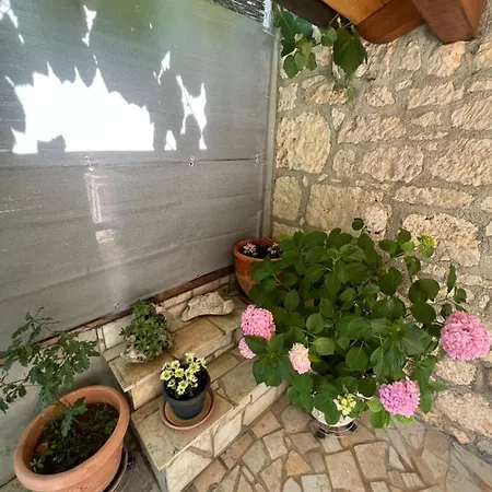 Kuca Za Odmor Matea Apartment *